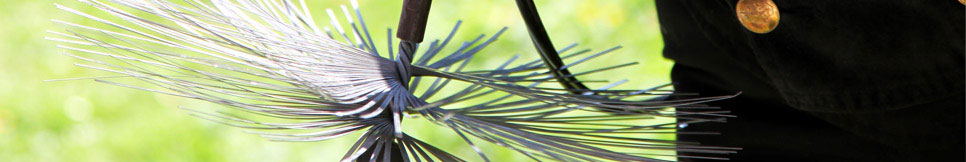 Banner - Alexander Schüller